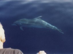 Törn 1997